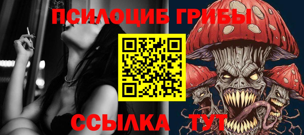 Псилоцибиновые грибы Psilocybine cubensis Жигулёвск